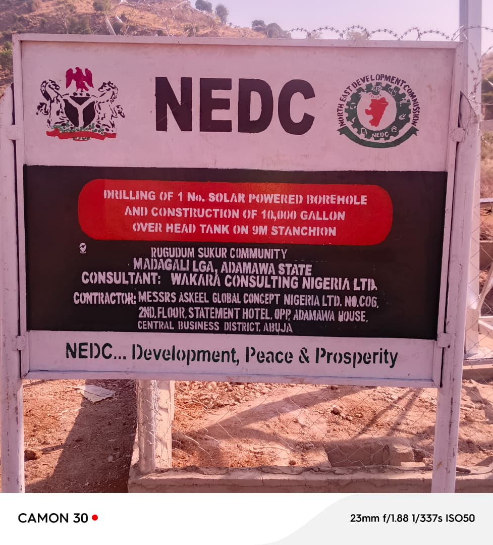 From Advocacy to Action: NEDC Delivers 100 Solar Street Lights and Water Access to Transform Sukur Kingdom, Adamawa State